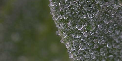 Abstract photography
